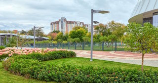 Профессиональное озеленение улиц в Приморско-Ахтарске в октябре