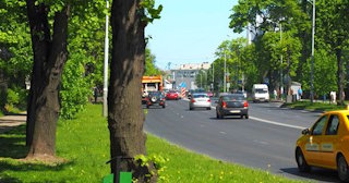 Посадка деревьев и кустарников в Приморско-Ахтарске — стоимость от 1217 руб.